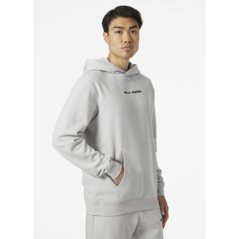 Bluza Helly Hansen Core Graphic Sweat Hoodie M 53924 825