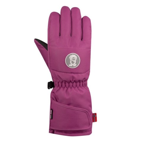 Rękawice zimowe Trollkids Kids Narvik Glove Jr 932-243