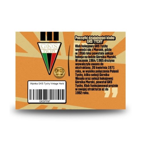 Wpinka GKS Tychy Premium SREBGKS-PIN