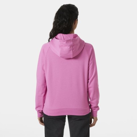 Bluza Helly Hansen Core Graphic Hoodie W 54239 089