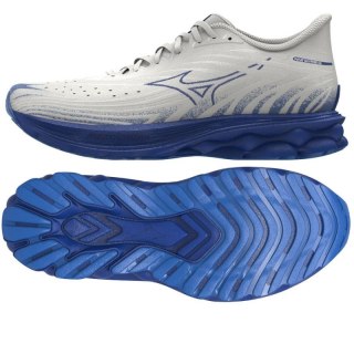 Buty Mizuno Wave Skyrise 6 M J1GC250954