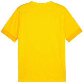 Koszulka Puma teamGoal Matchday Jersey M 705747 07