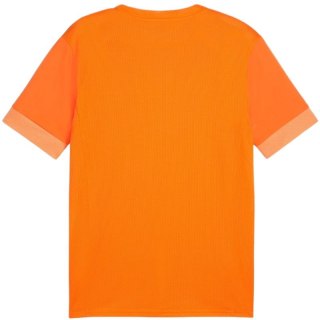 Koszulka Puma teamGoal Matchday Jersey M 705747 08