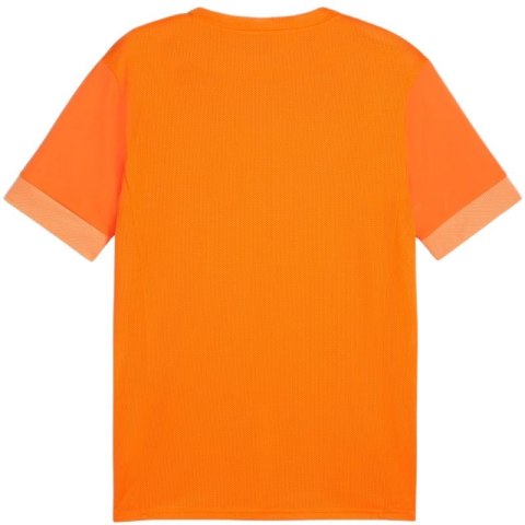 Koszulka Puma teamGoal Matchday Jersey M 705747 08