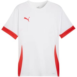 Koszulka Puma teamGoal Matchday Jersey M 705747 11