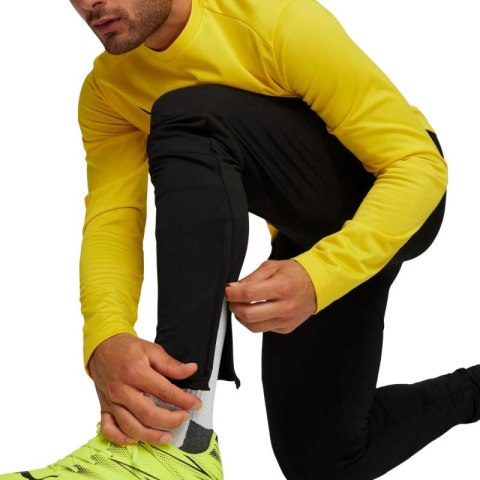 Spodnie Puma Team Goal Slim Training M 659037 03