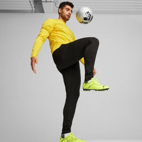 Spodnie Puma Team Goal Slim Training M 659037 03