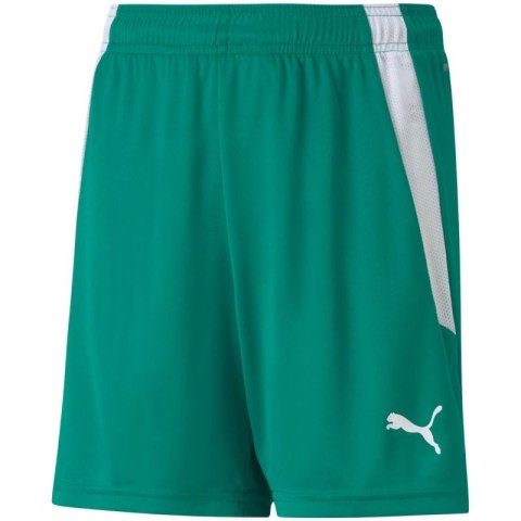 Spodenki Puma teamLIGA Shorts Jr 704931 05