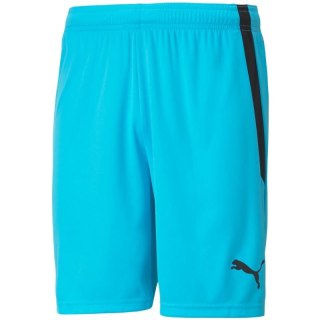 Spodenki Puma teamLIGA M 704924 40