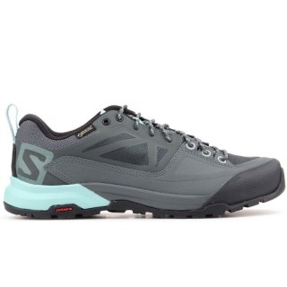Salomon X Alp Spry Gtx 401619
