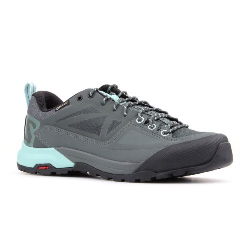 Salomon X Alp Spry Gtx 401619