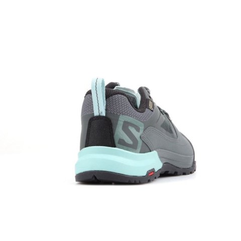 Salomon X Alp Spry Gtx 401619