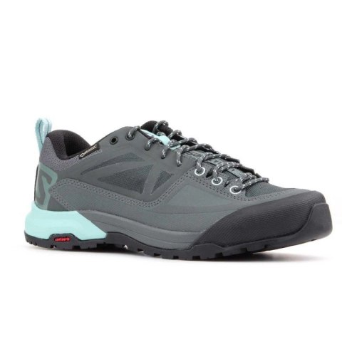 Salomon X Alp Spry Gtx 401619