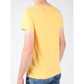 T-shirt Wrangler S/S Graphic T W7931EFNG