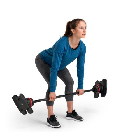 Zestaw sztang regulowanych Bowflex 2080 SelectTech 100874