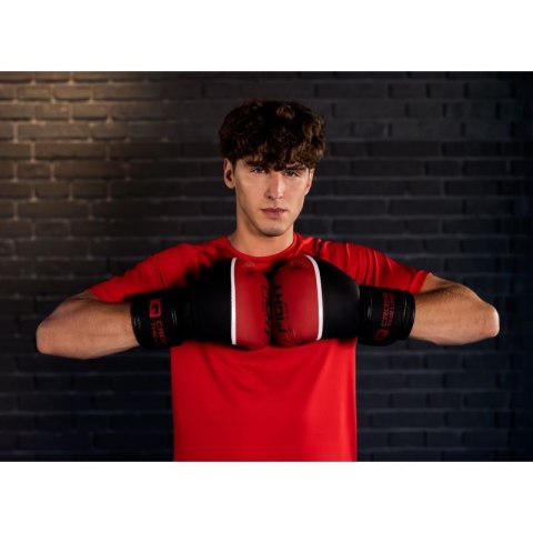 Rękawice bokserskie IQ Cross The Line Boxeo 92800350269