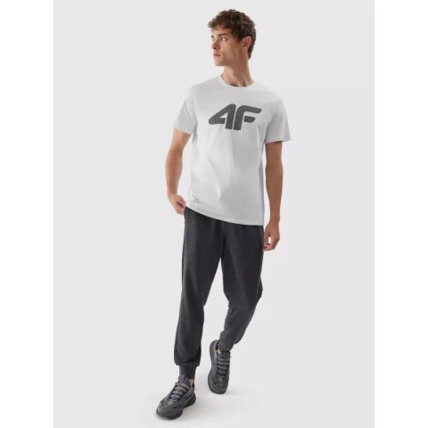 Koszulka 4F M 4FAW23TTSHM0877-10S