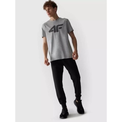 Koszulka 4F M 4FAW23TTSHM0877-27M