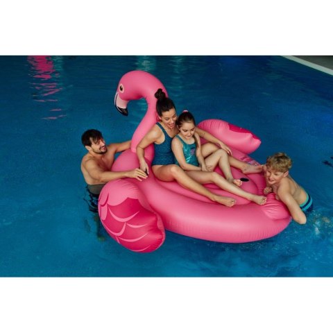 Kostium kąpielowy AquaWave Seaweed W 92800481982