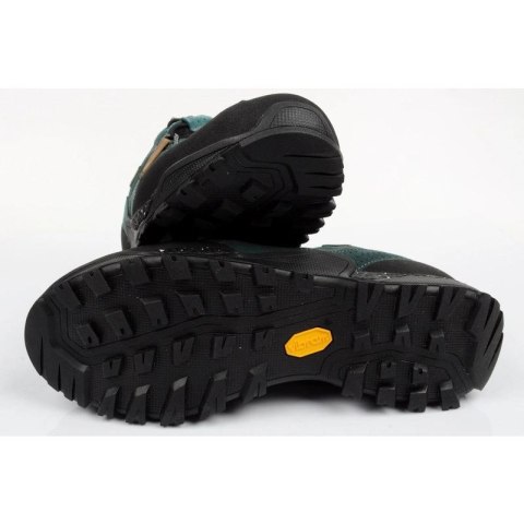 Buty trekkingowe Aku Nativa GTX W 629676