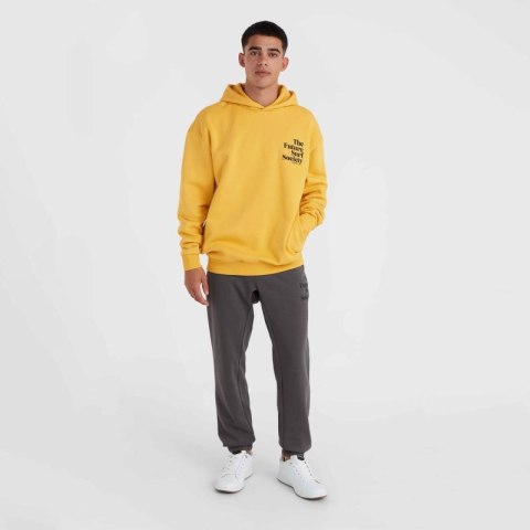 Bluza O'Neill Future Surf Society Hoodie M 92800613450