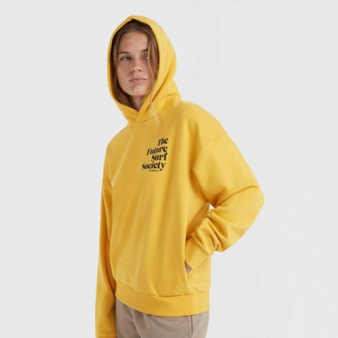 Bluza O'Neill Future Surf Society Hoodie W 92800613435