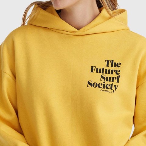 Bluza O'Neill Future Surf Society Hoodie W 92800613435