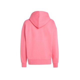 Bluza O'Neill Future Surf Society Hoodie W 92800613440