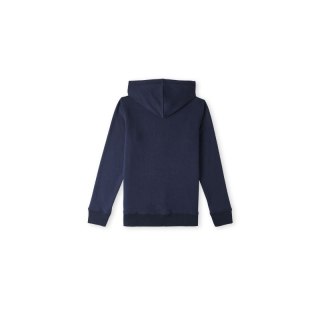 Bluza O'Neill Logo Hoodie Jr 92800615001