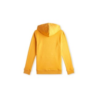 Bluza O'Neill Logo Hoodie Jr 92800615006