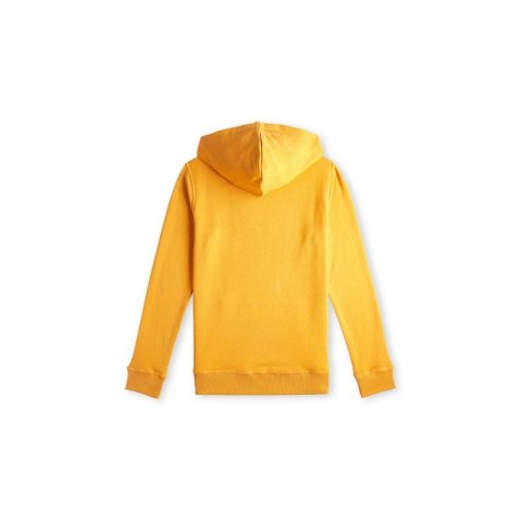 Bluza O'Neill Logo Hoodie Jr 92800615006