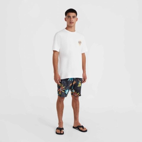 Koszulka O'Neill Beach Graphic T-Shirt M 92800613984