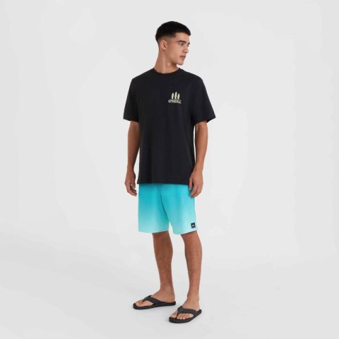 Koszulka O'Neill Beach Graphic T-Shirt M 92800613988