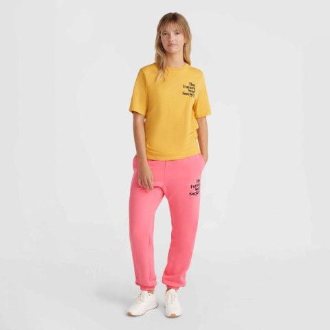 Koszulka O'Neill Future Surf Society Regular T-Shirt W 92800613485