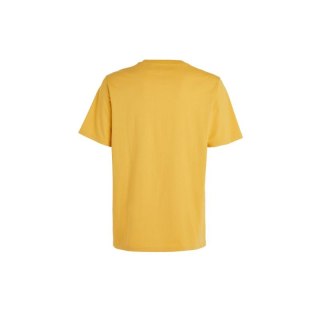 Koszulka O'Neill Future Surf Society T-Shirt M 92800613523