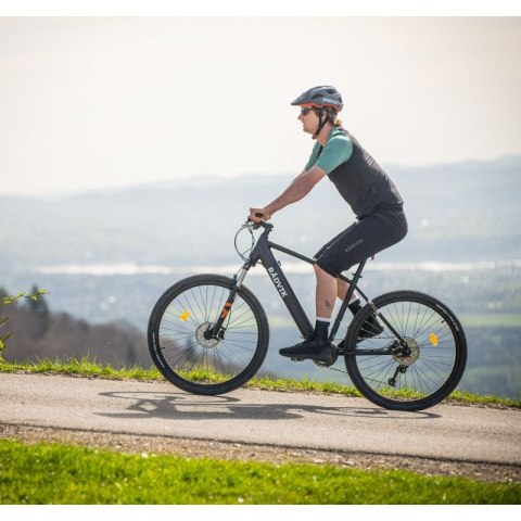 Spodenki Radvik Xray Shorts Gts M 92800612900