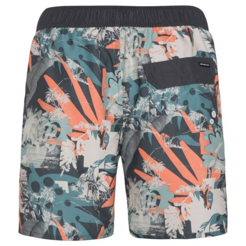 Spodenki męskie Protest PRTARYF beachshort (P2710621/672)