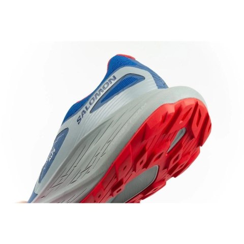 Buty Salomon Glide Max TR Run The Alps 473856