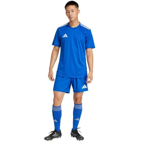 Spodenki adidas Tastigo 25 M JN7159