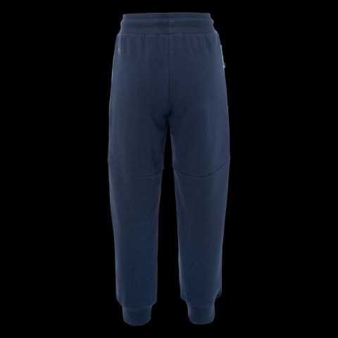 Dziecięce Spodnie TIOGER KDB