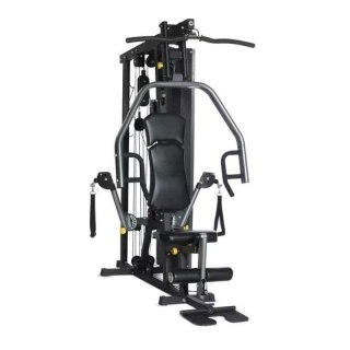 Atlas HORIZON FITNESS Torus 3