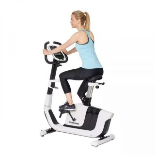 Rower indukcyjny HORIZON FITNESS Comfort 8.1