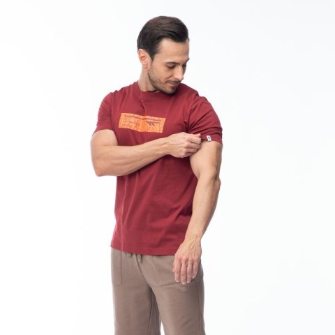 Męska Koszulka z krótkim rękawem HAMILONI