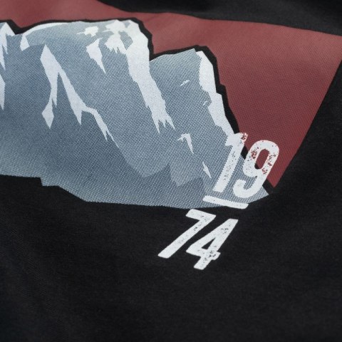 Męska Koszulka z krótkim rękawem RAWAL