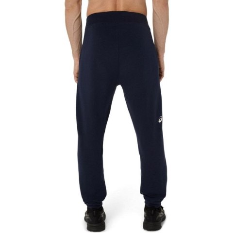 Spodnie Asics Logo Sweatpant M 2031E189407