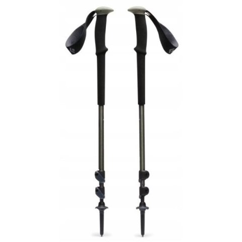 Kije trekkingowe Black Diamond Trail Trekking Poles Pine Smoke