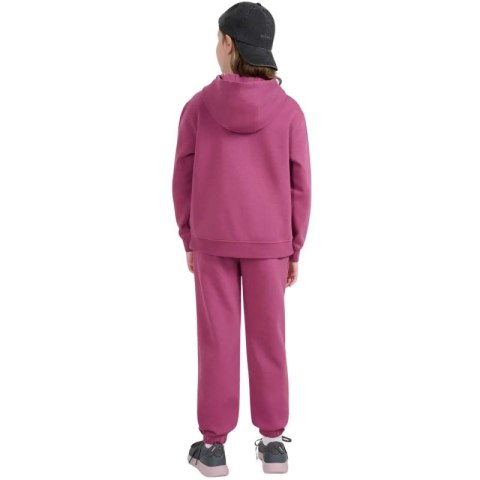 Spodnie 4F CAS F1249 Jr 4FJWAW25TTROF1249 50S