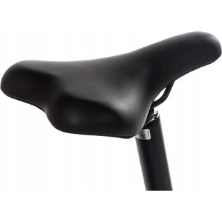 Rower elektryczny składany Snapp City-E Grafit