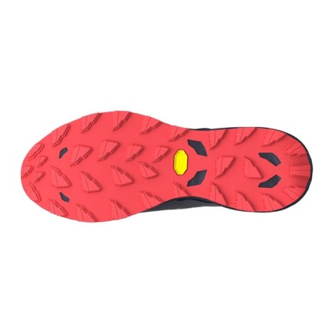 Buty Mizuno Wave Daichi 9