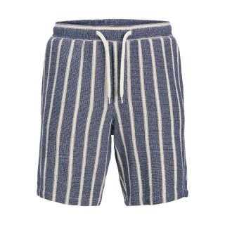 Jack&Jones krótkie joggery JPSTJAIDEN COBA STRIPE JOG SHORTS REG SN 12274413 OCEAN CAVERN